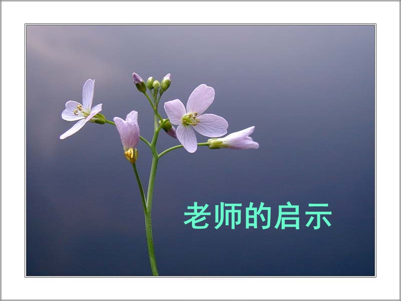 老师的启示.ppt_第1页