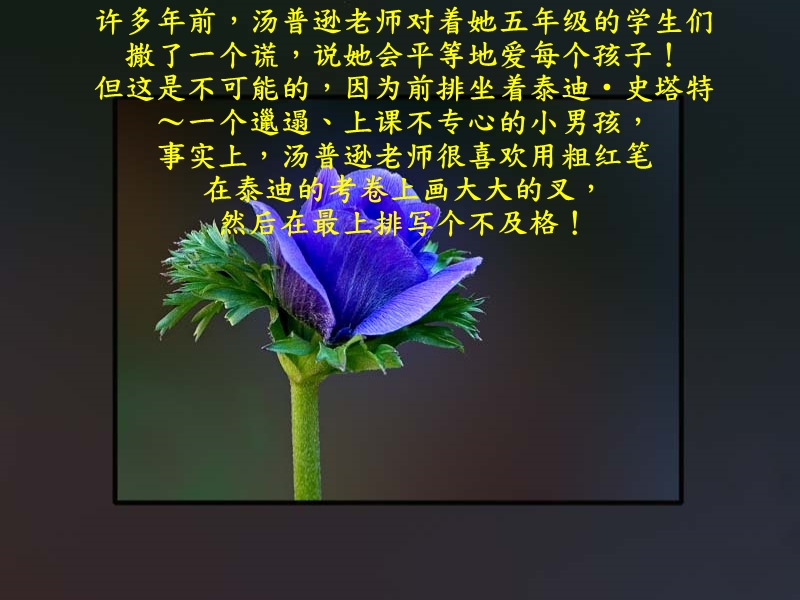 老师的启示.ppt_第2页