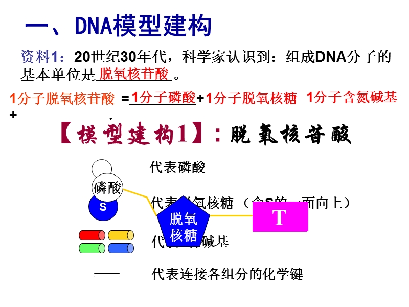 高中生物必修二dna分子的结构-人教版.ppt_第3页