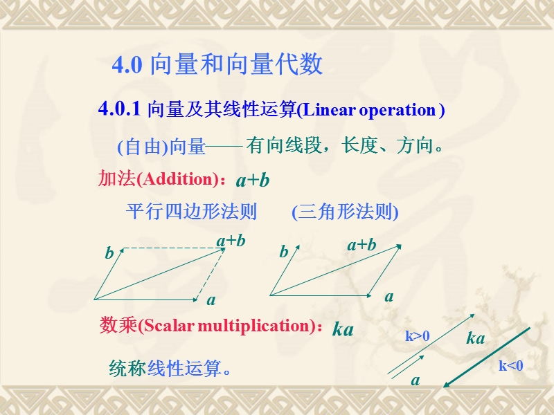 (自由)向量.ppt_第1页