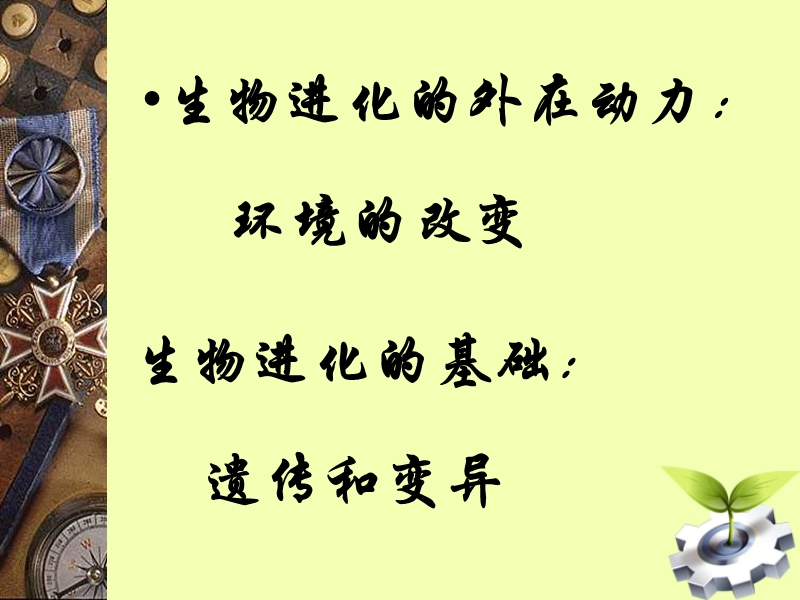 第四节《生物进化的原因》.ppt_第3页