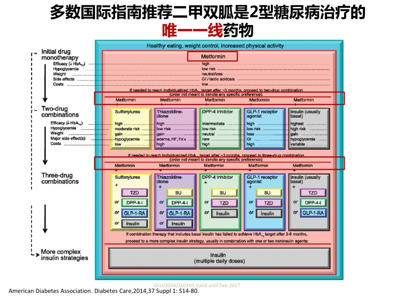 二甲双胍临床应用专家共识解读.pptx_第3页