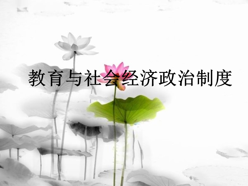 教育与社会政 治经济制度.ppt_第1页