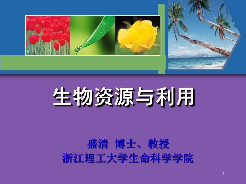 生物资源与利用2012.ppt_第1页