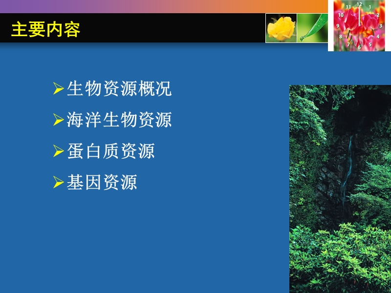 生物资源与利用2012.ppt_第2页