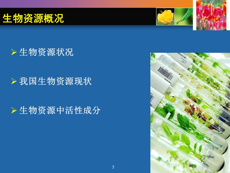 生物资源与利用2012.ppt_第3页