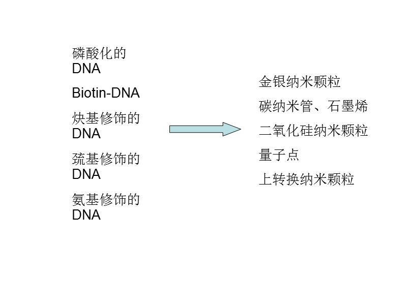 dna固定在纳米颗粒表面的方法.ppt_第1页