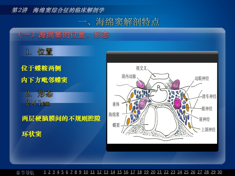 海绵窦综合征临床解剖.pptx_第3页