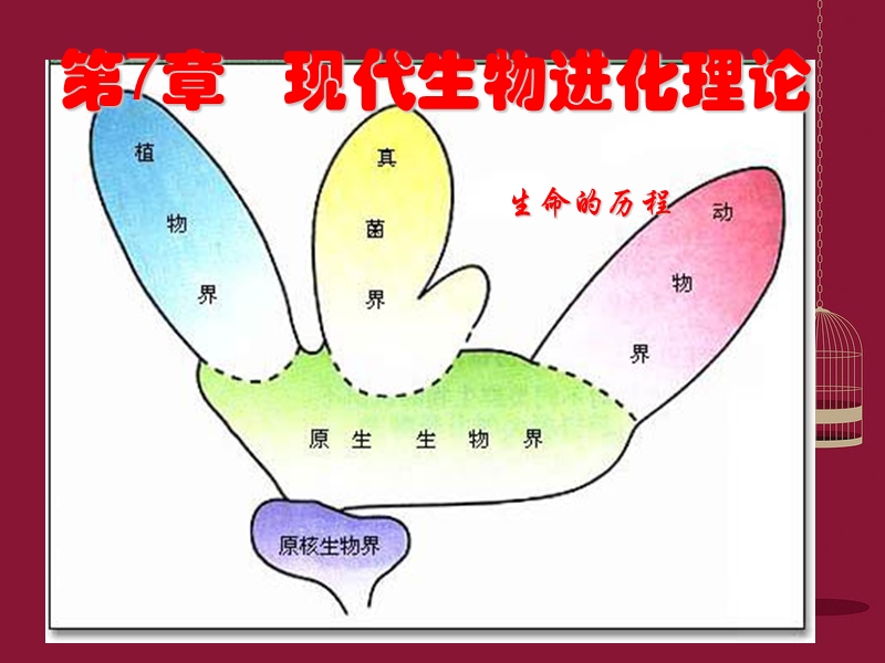 现代生物进化理论的由来.ppt_第1页