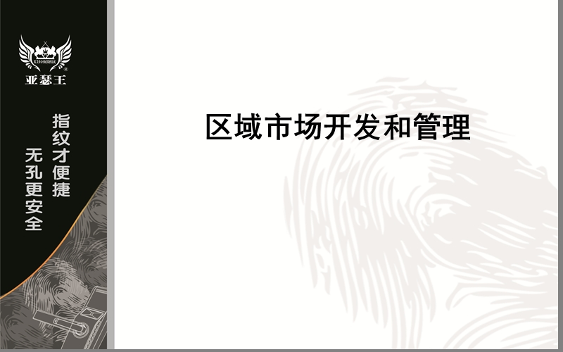 区域市场开发和管理.ppt_第1页