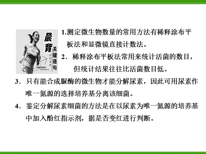 土壤中分解尿素的细菌的分离与计数.ppt_第3页