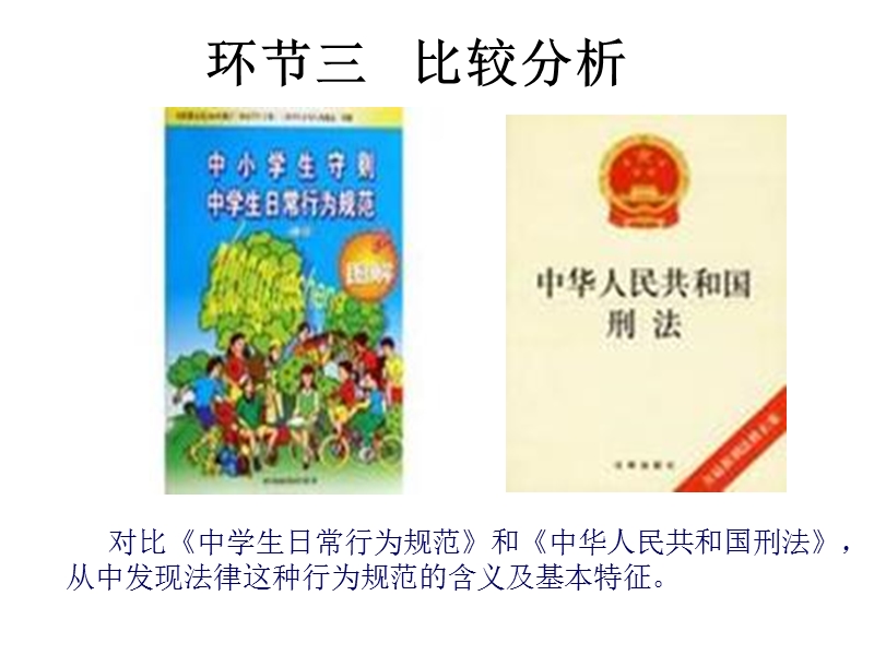 15二项目预防违法犯罪-从杜绝不良行为做起.ppt_第3页