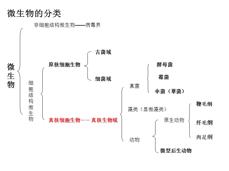 水处理生物学-第四章.ppt_第1页