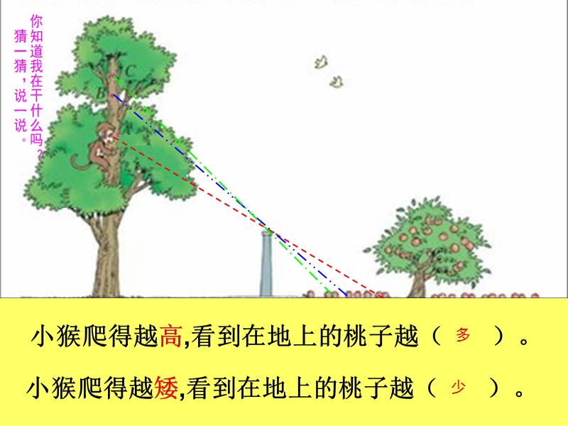 北师大版数学六年级上册《观察的范围》2课件-（一）.ppt_第3页