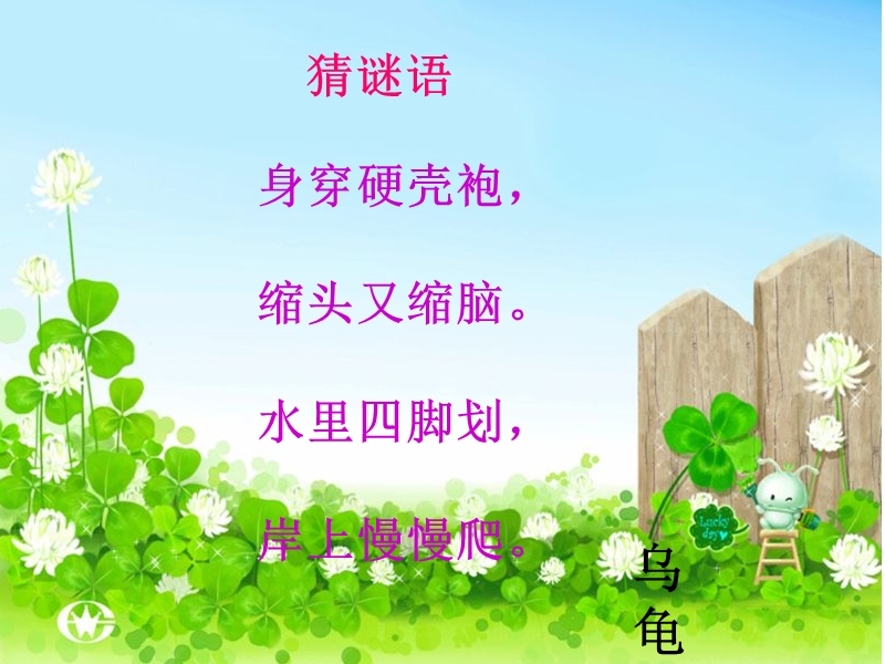 想飞的乌龟.ppt_第1页