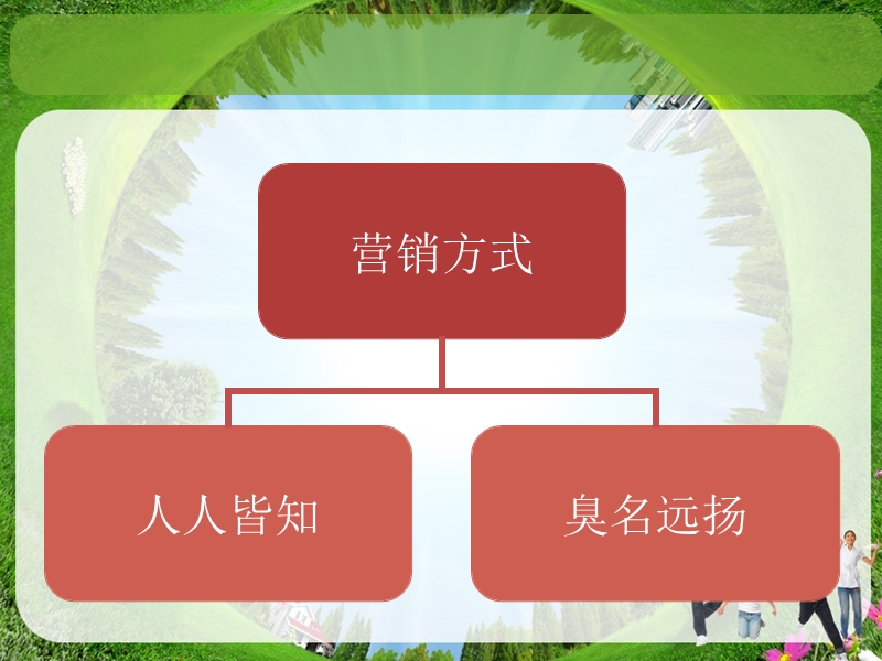 安利企业战略制定.ppt_第3页