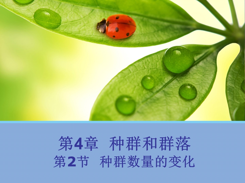 高中生物必修三--种群数量的变化-(精品课件).ppt_第1页