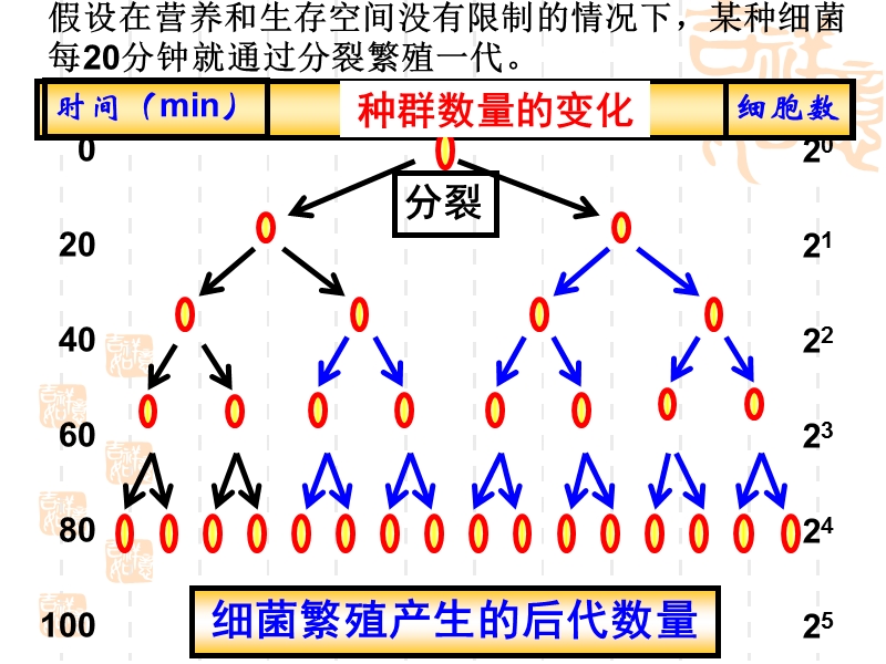 高中生物必修三--种群数量的变化-(精品课件).ppt_第2页