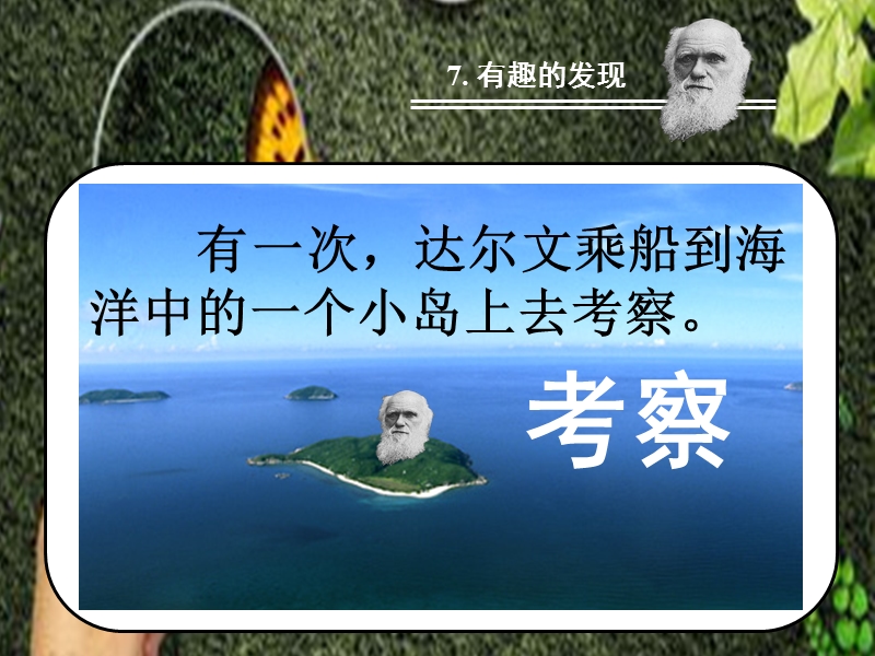 有趣的发现.ppt_第3页