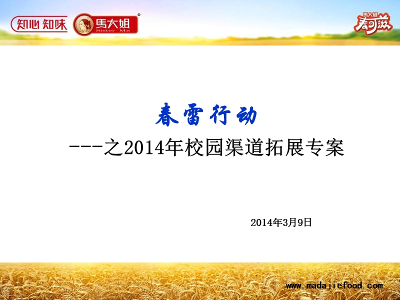 2014年校园渠道专项拓展方案.ppt_第1页