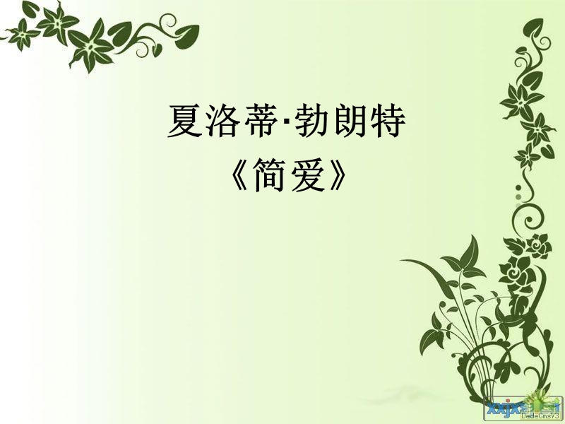 简爱教学课件.ppt_第2页