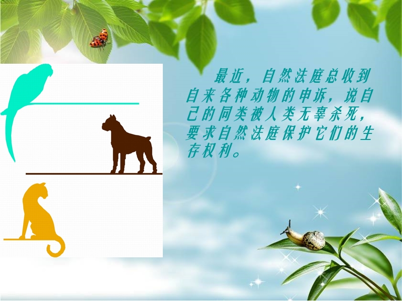 自然法庭公告.ppt_第2页