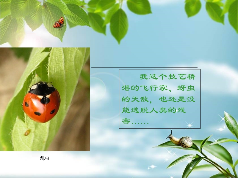 自然法庭公告.ppt_第3页