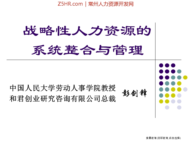 战略人力资源管理-ppt-120.ppt_第1页