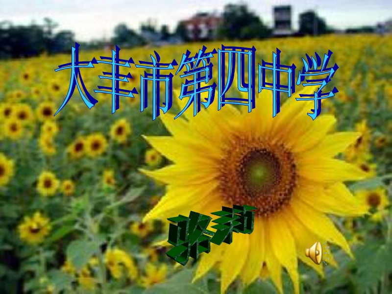 《冰心诗四首》之《成功的花》《嫩绿的芽儿》.ppt_第1页