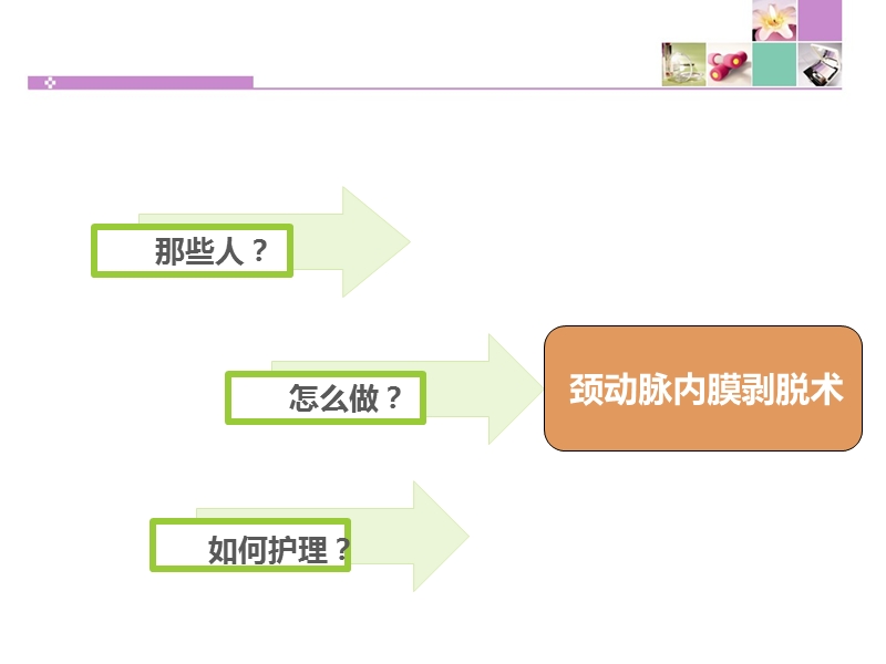 颈动脉内膜剥脱术护理.ppt_第2页