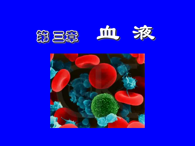 (3)血 液.ppt_第1页