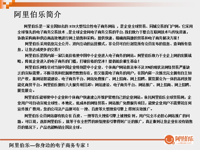 电子商务网络营销参考资料.ppt_第3页