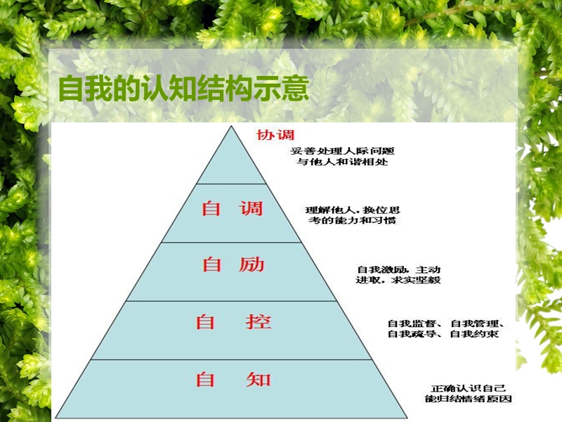 心理学讲座系列.ppt_第2页