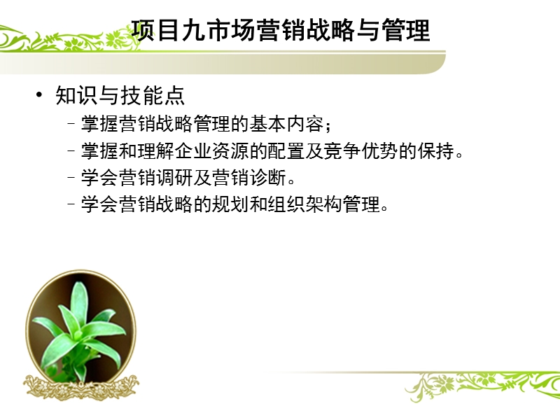 项目九--市场营销战略与管理.ppt_第1页