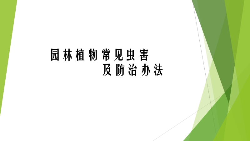 园林植物主要病虫草害.ppt_第2页