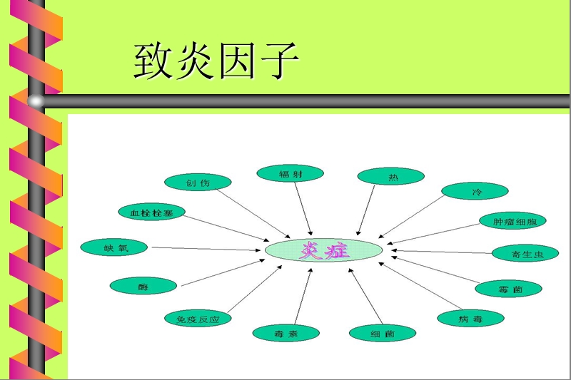 c-反应蛋白   (crp)感染疾病中的临床应用.ppt_第2页