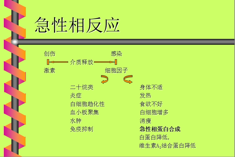 c-反应蛋白   (crp)感染疾病中的临床应用.ppt_第3页