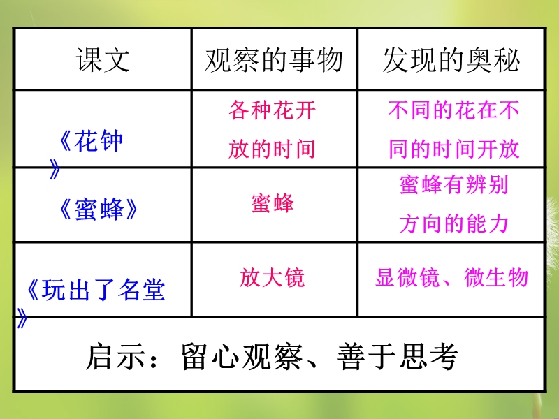 三上16找骆驼.pptx_第1页