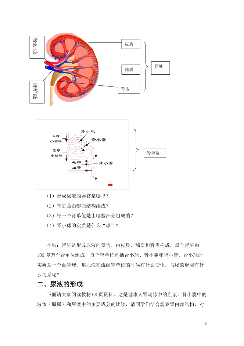 尿的形成和排出预习学案.doc_第3页