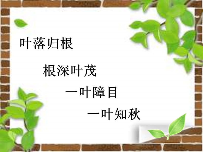 做一片美的叶子.ppt_第1页