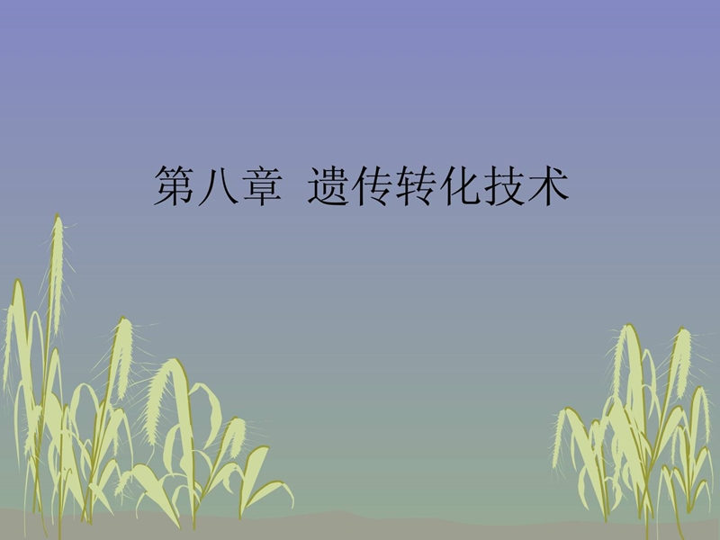 转基因植物-2.ppt_第1页