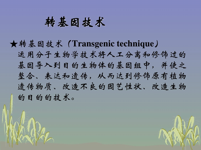 转基因植物-2.ppt_第2页