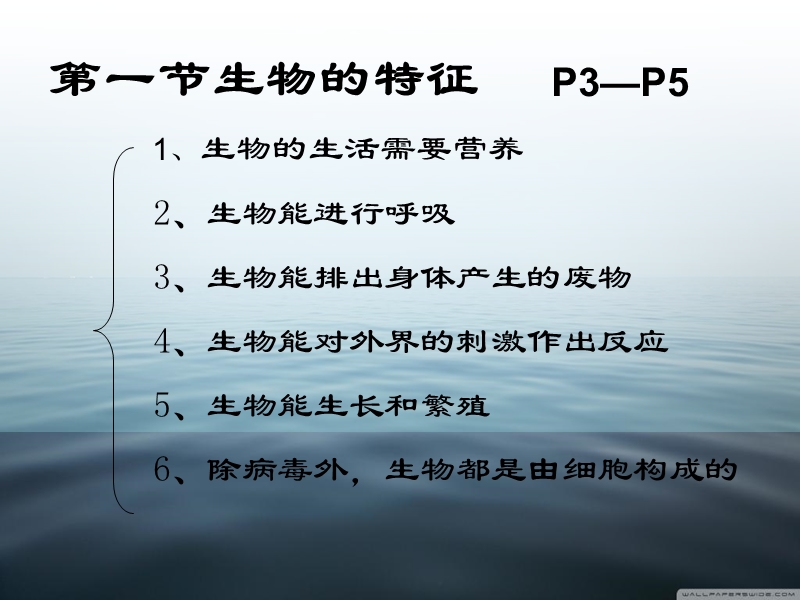 七年级上册全套生物复习(精华版).ppt_第2页