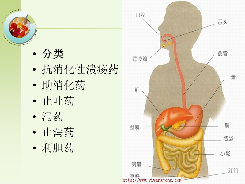 作用于消化系统的药物课件.ppt_第2页