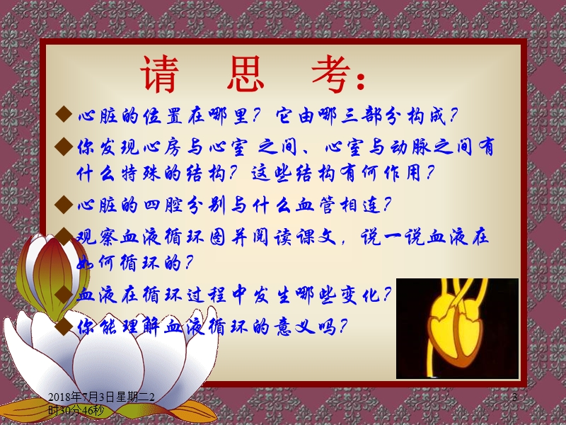 七年级生物ppt课件-心脏.ppt_第3页