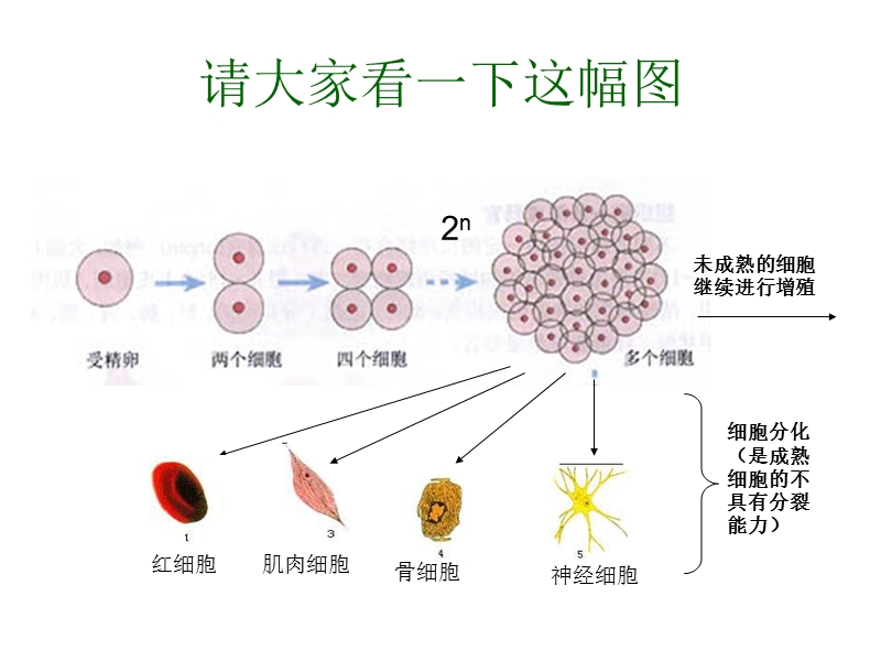 贵州黄平民族中学.ppt_第3页