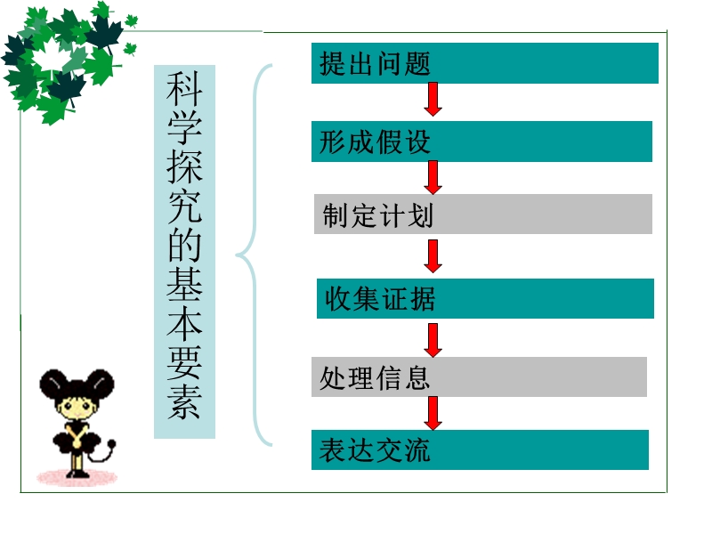 上海科学会考(科学学业水平考试)总复习资料【全】.ppt_第3页