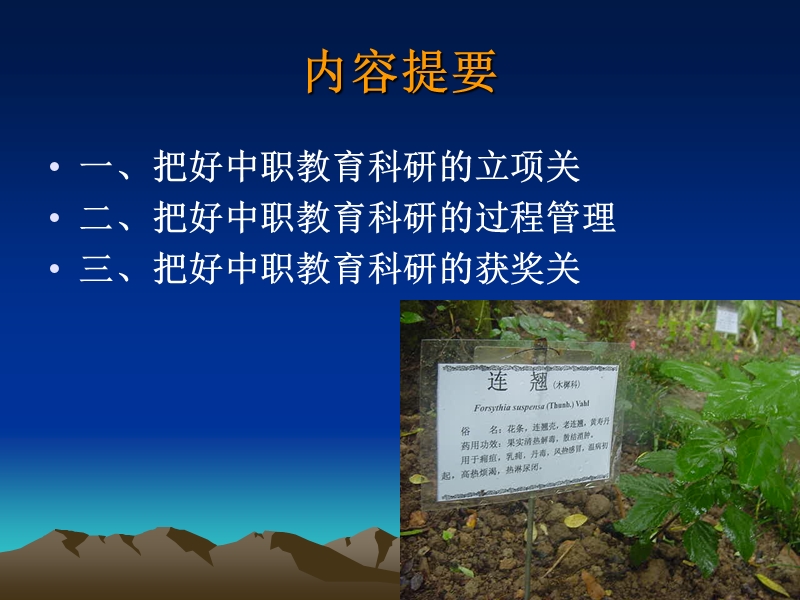 提高教育科研立项研究[专业论文].ppt_第2页