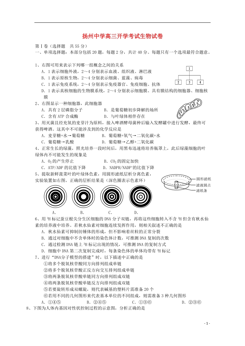 扬州市扬州中学2014-2015学年高三生物下学期开学考试试题新人教版.doc_第1页