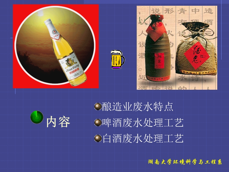 微生物絮凝剂.ppt_第2页